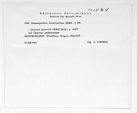 Image Associated With the Occurence